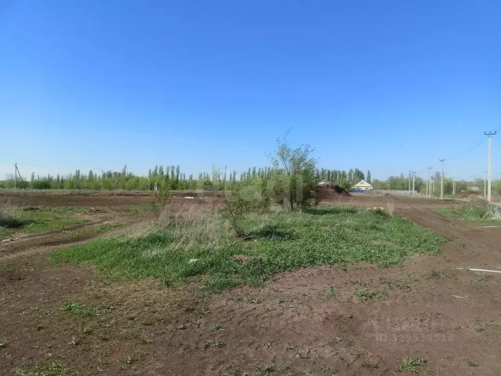 Участок в Саратовская область, Энгельсский район, Новопушкинское ... - Фото 1