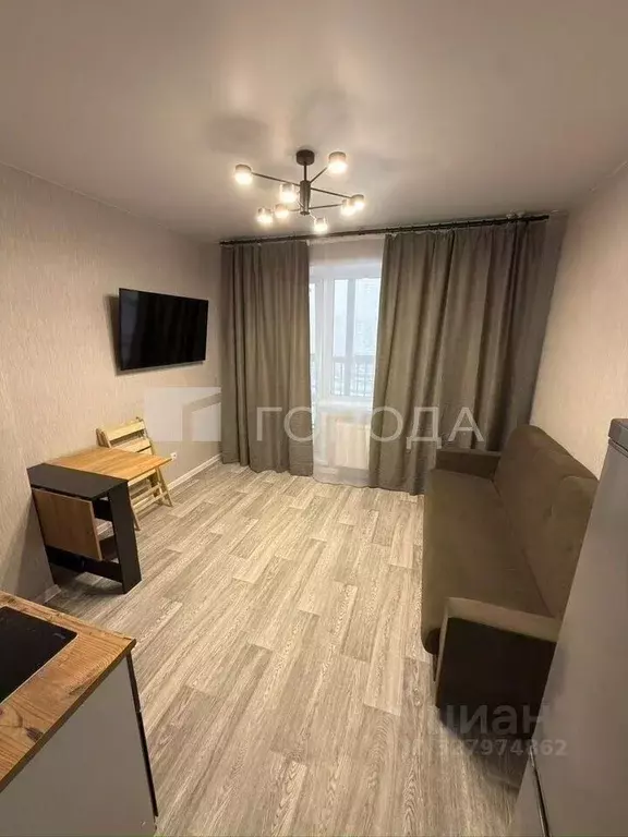 Студия Новосибирская область, Новосибирский район, Станционный ... - Фото 1