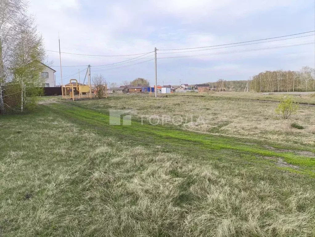 Участок в Новосибирская область, Новосибирский район, с. Верх-Тула ул. ... - Фото 1