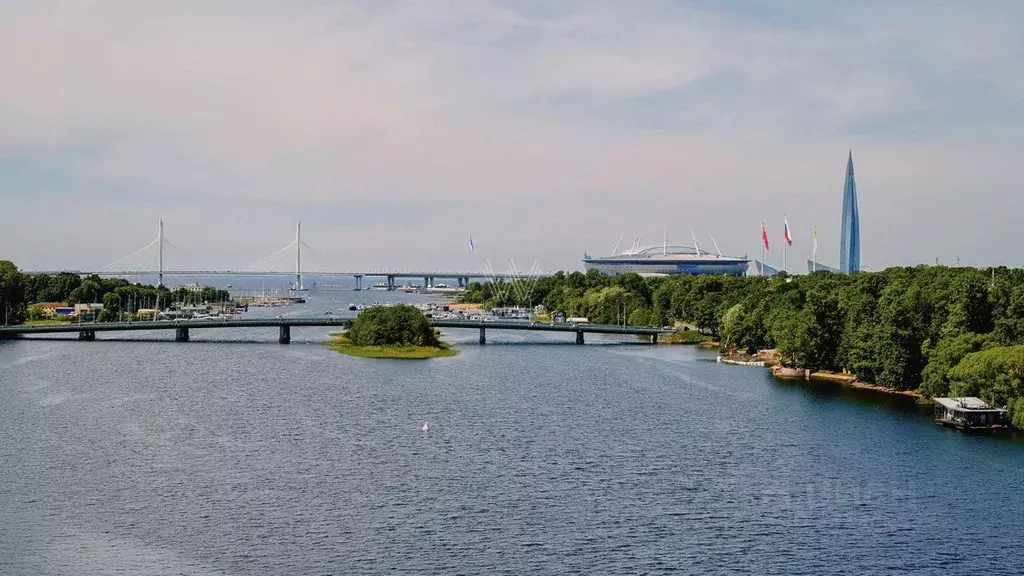 4-к кв. Санкт-Петербург Ждановская ул., 45 (240.0 м) - Фото 1