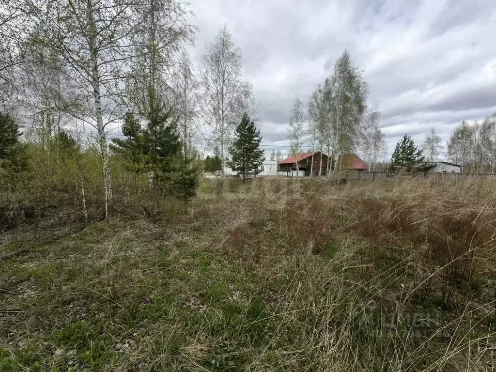 Участок в Новосибирская область, Искитимский район, Мичуринский ... - Фото 1