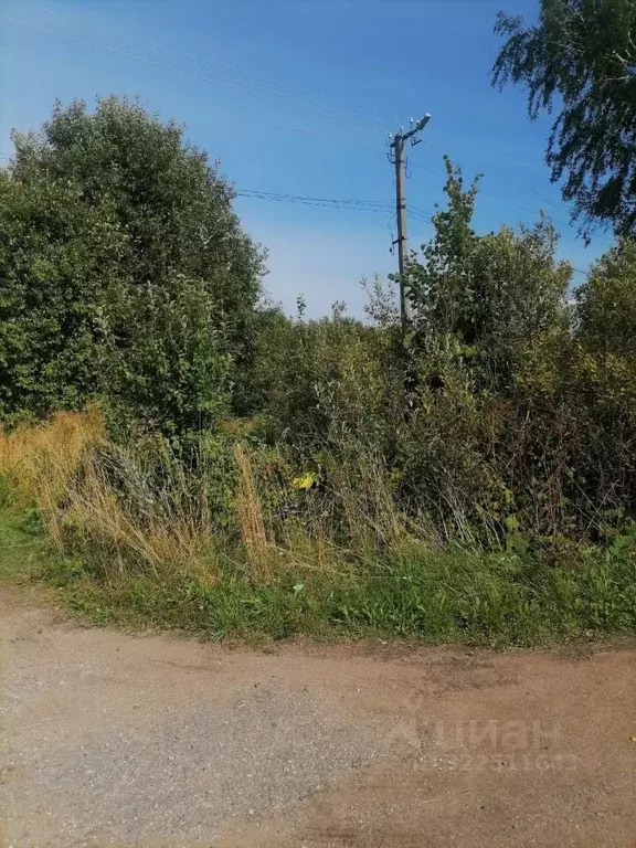 Участок в Новгородская область, Шимский район, Подгощское с/пос, д. ... - Фото 2