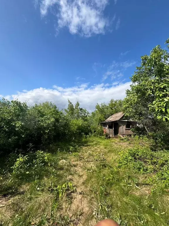 Участок 4,1 сот. (СНТ, ДНП) - Фото 1