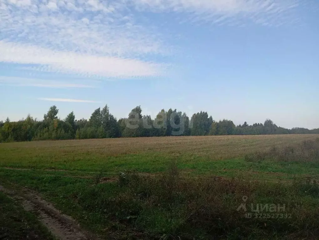 Участок в Ярославская область, Рыбинский муниципальный округ, д. ... - Фото 1