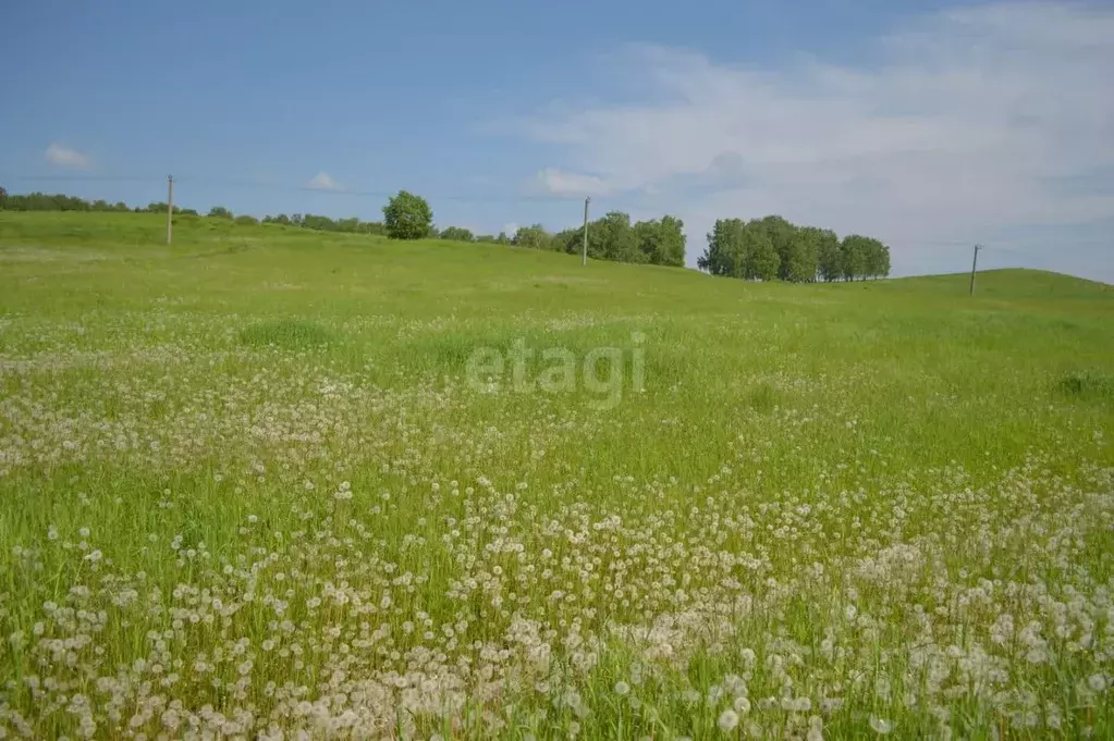 Участок в Кемеровская область, Прокопьевск Сафоново мкр,  (10.0 сот.) - Фото 1