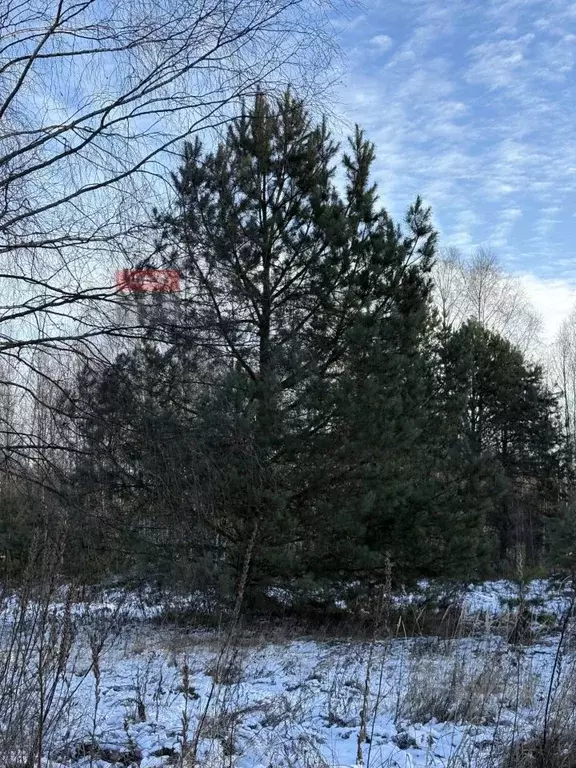 Участок в Рязанская область, Спасский муниципальный округ, с. Ярустово ... - Фото 2