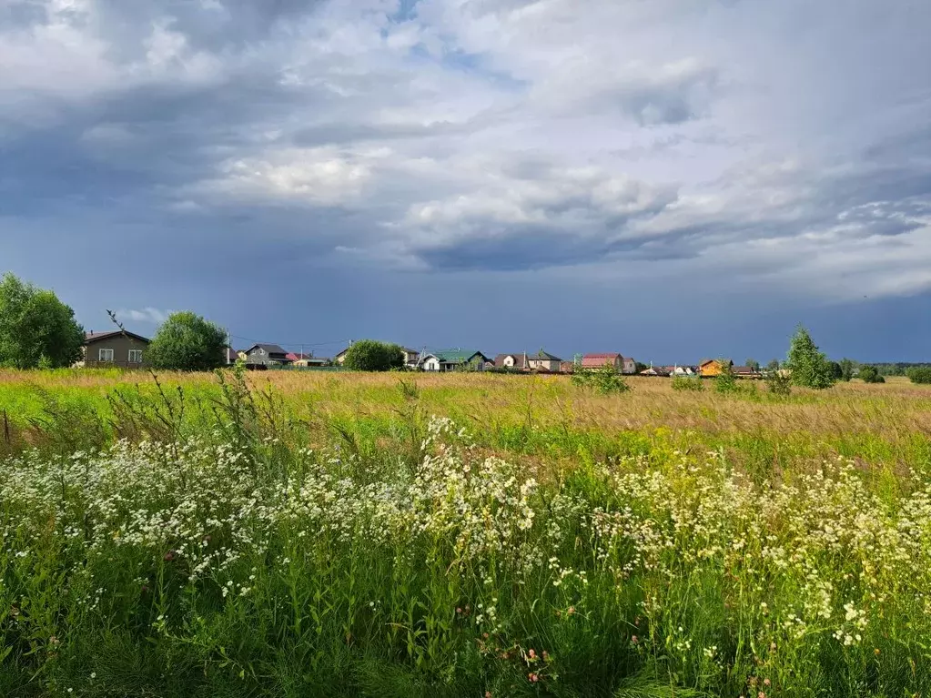 Участок в Московская область, Серпухов городской округ, д. Верхние ... - Фото 2