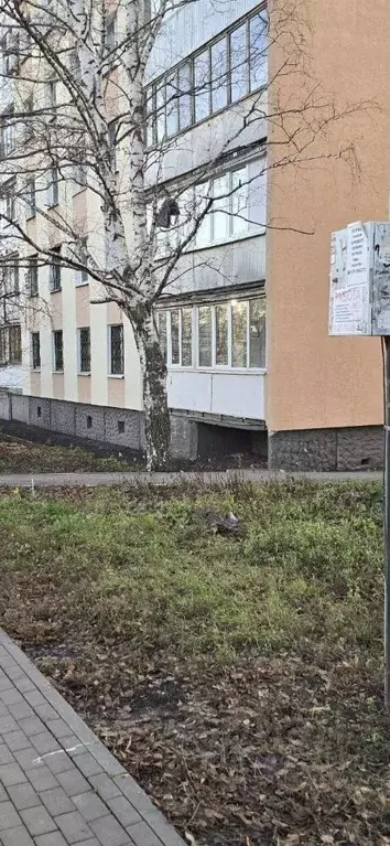 3-к кв. Самарская область, Самара Ташкентская ул., 116 (65.0 м) - Фото 1