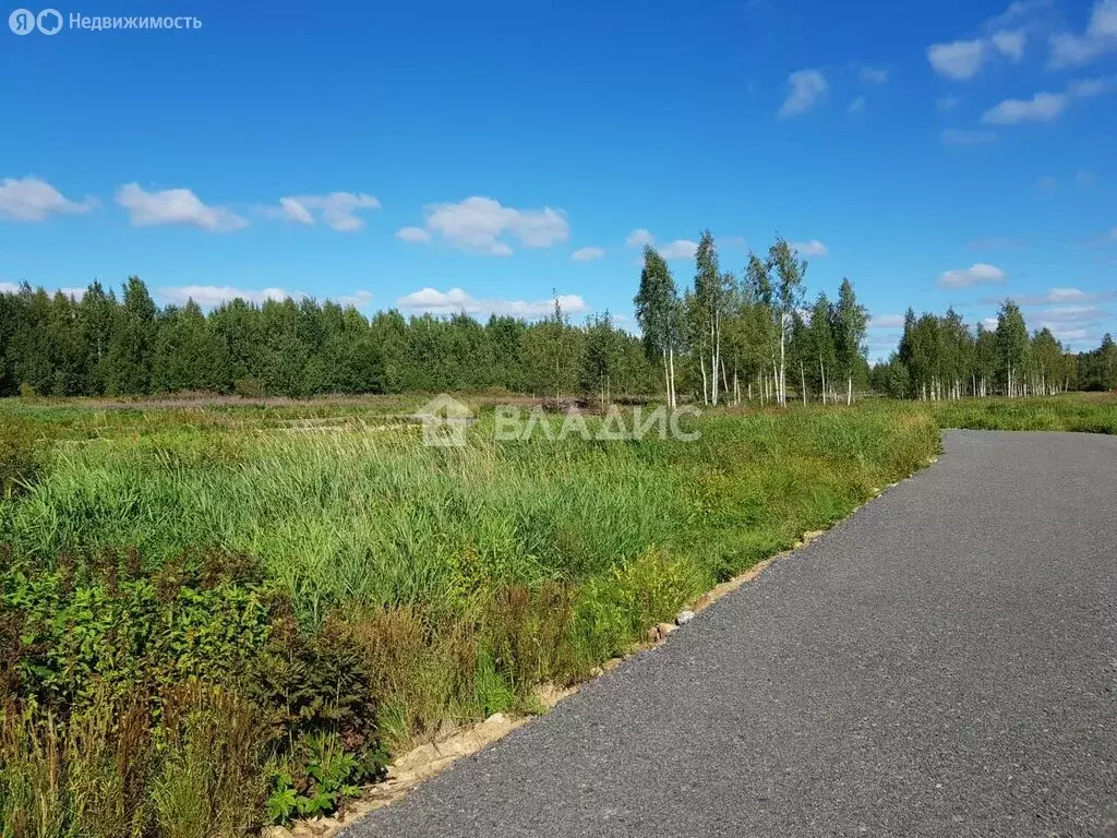 Участок в Куйвозовское сельское поселение, КП Грузино сити (6.02 м) - Фото 1