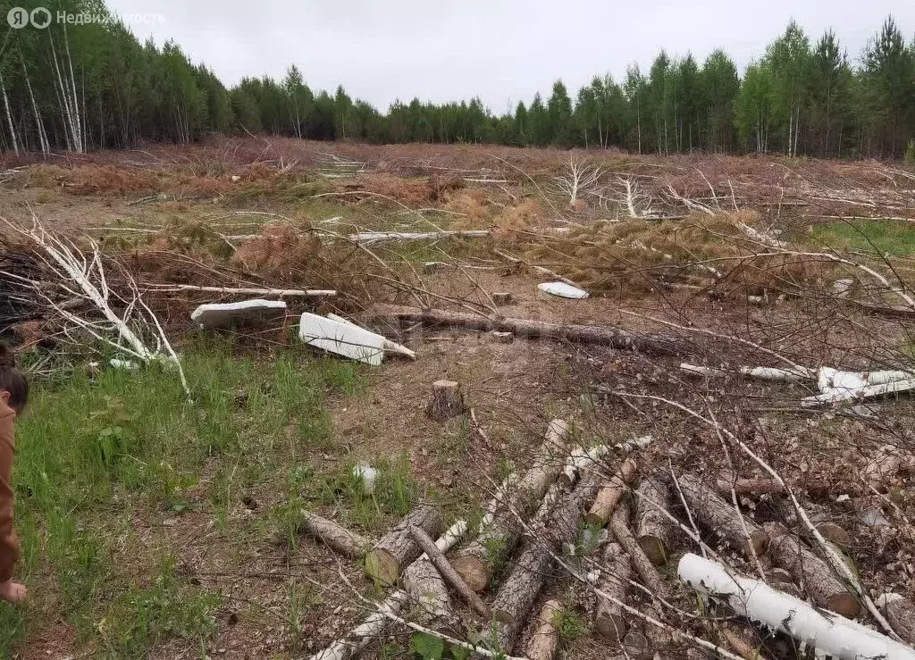 Участок в Тункинский район, село Жемчуг (36.29 м) - Фото 2