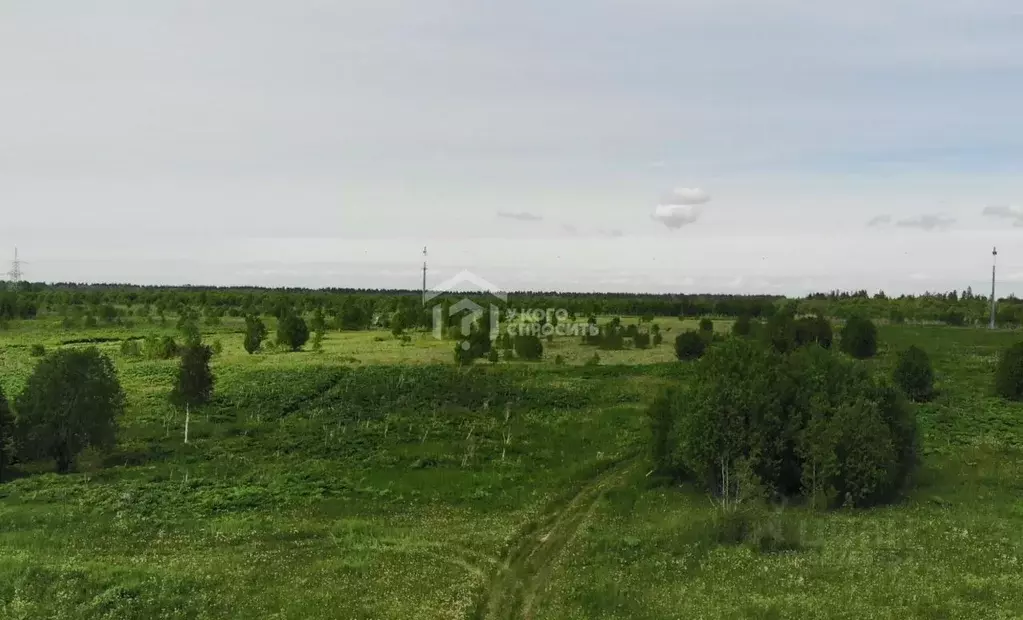 Участок в Ленинградская область, Ломоносовский район, Кипенское с/пос, ... - Фото 1