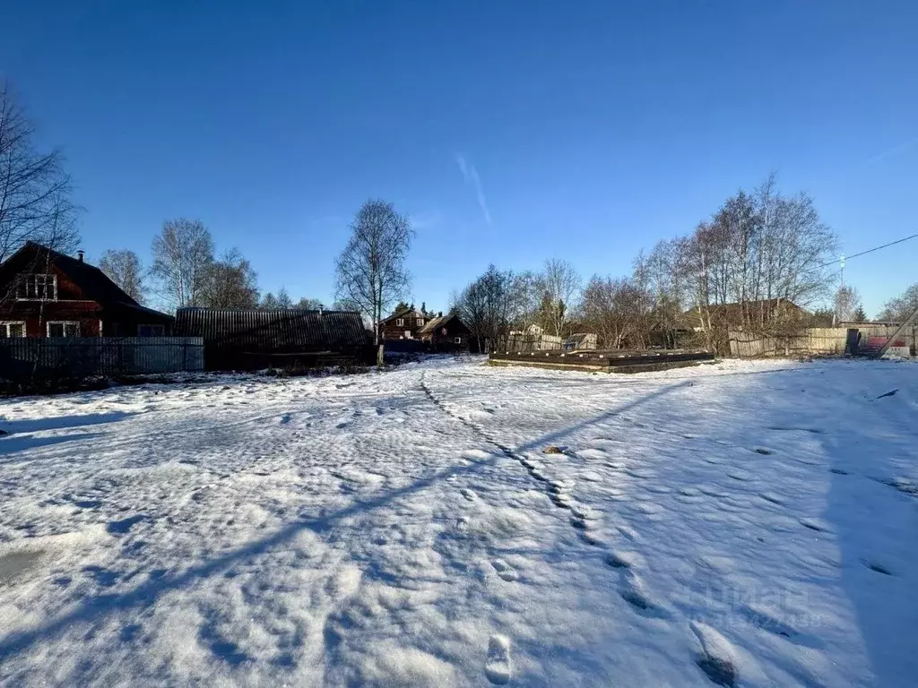 Участок в Ленинградская область, Лужский район, Заклинское с/пос, д. ... - Фото 1