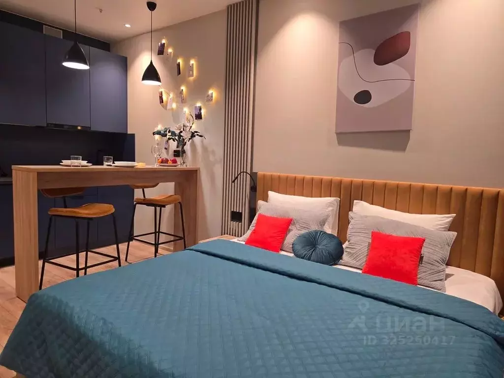 1-к кв. Санкт-Петербург просп. Энергетиков, 8к2 (29.0 м) - Фото 1