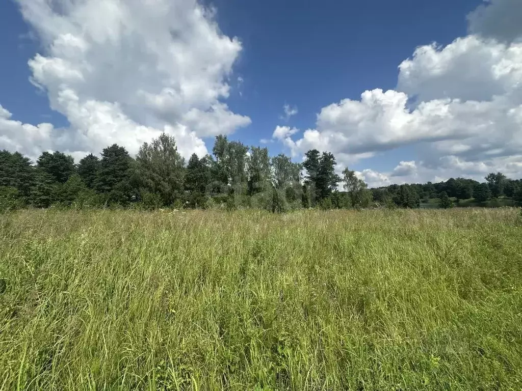 Участок в Калужская область, Жуковский район, Совхоз Чаусово с/пос, ... - Фото 2