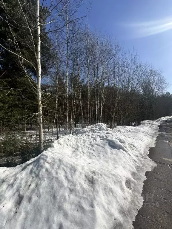 Участок в Московская область, Красногорск городской округ, Нахабино ... - Фото 2