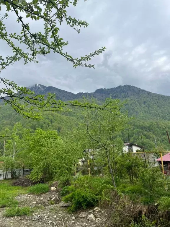 Участок в Краснодарский край, Сочи городской округ, Красная Поляна пгт ... - Фото 0