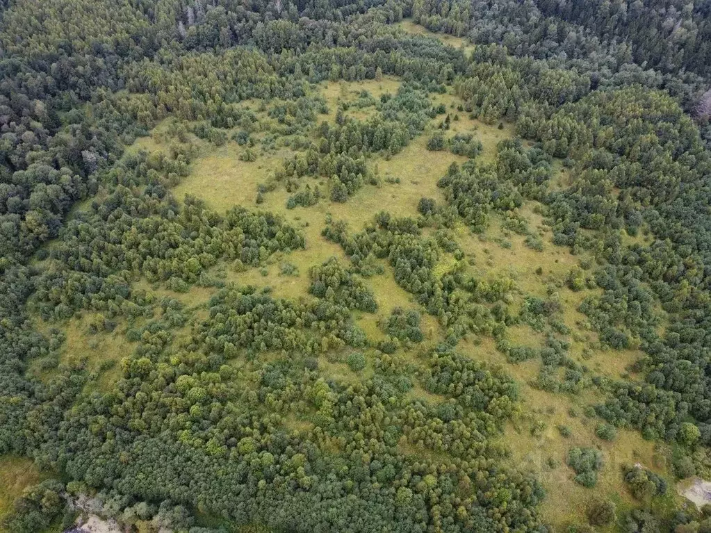 Участок в Московская область, Волоколамский муниципальный округ, д. ... - Фото 1