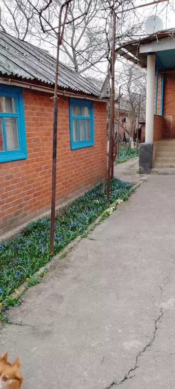 Таунхаус, 80 м - Фото 1