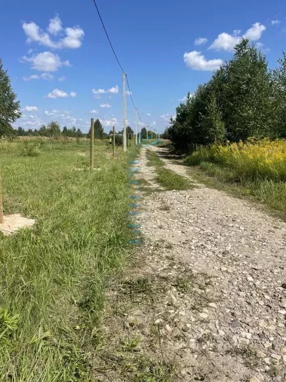 Участок в Нижегородская область, Дальнеконстантиновский муниципальный ... - Фото 2