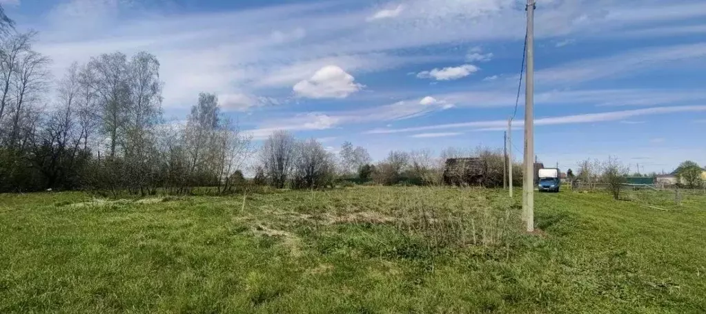 Участок в Пермский край, Пермский муниципальный округ, с. Бершеть ... - Фото 2