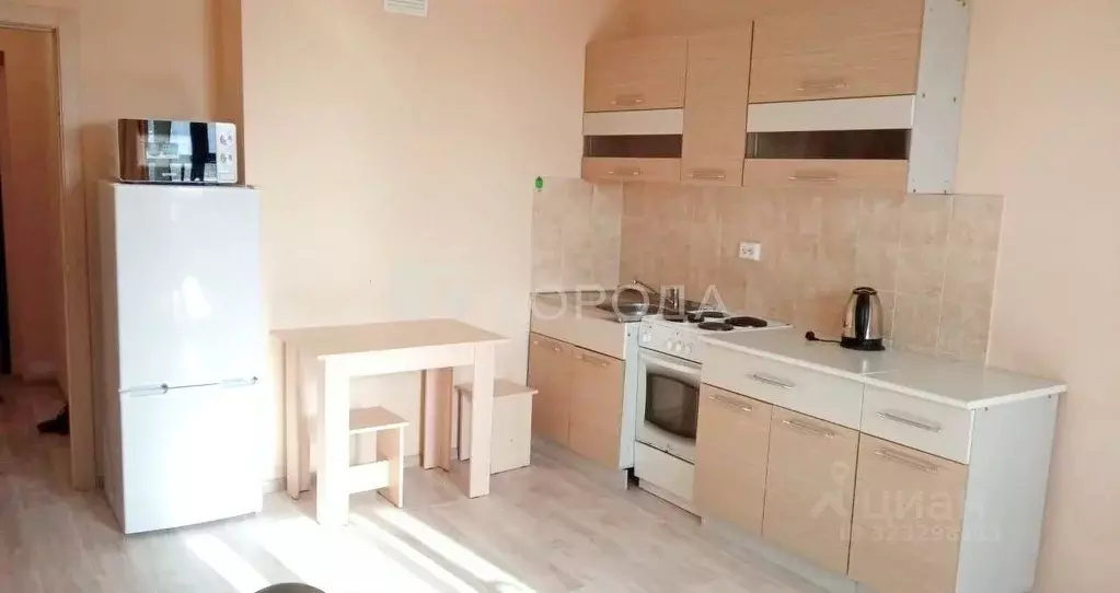 Студия Новосибирская область, Новосибирск Красный просп., 305 (30.0 м) - Фото 1