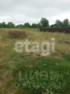Участок в Белгородская область, Алексеевский муниципальный округ, с. ... - Фото 2
