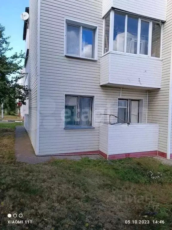 3-к кв. Белгородская область, Ивня рп ул. Калинина, 11 (65.0 м) - Фото 0