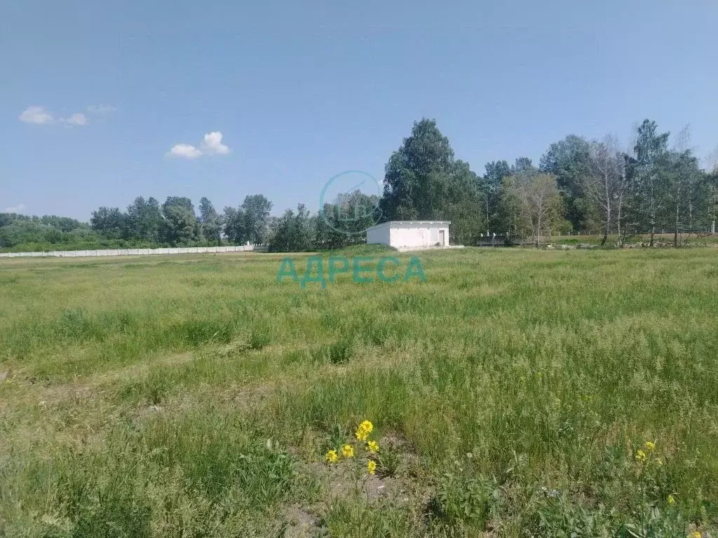 Участок в Белгородская область, Новооскольский муниципальный округ, ... - Фото 2