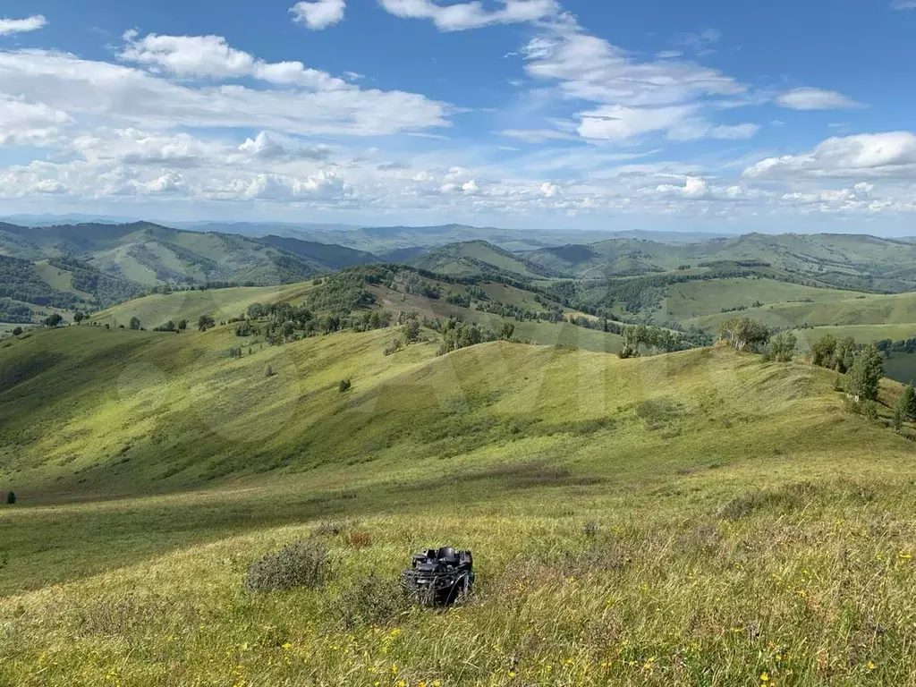 Земельные участки алтайский край