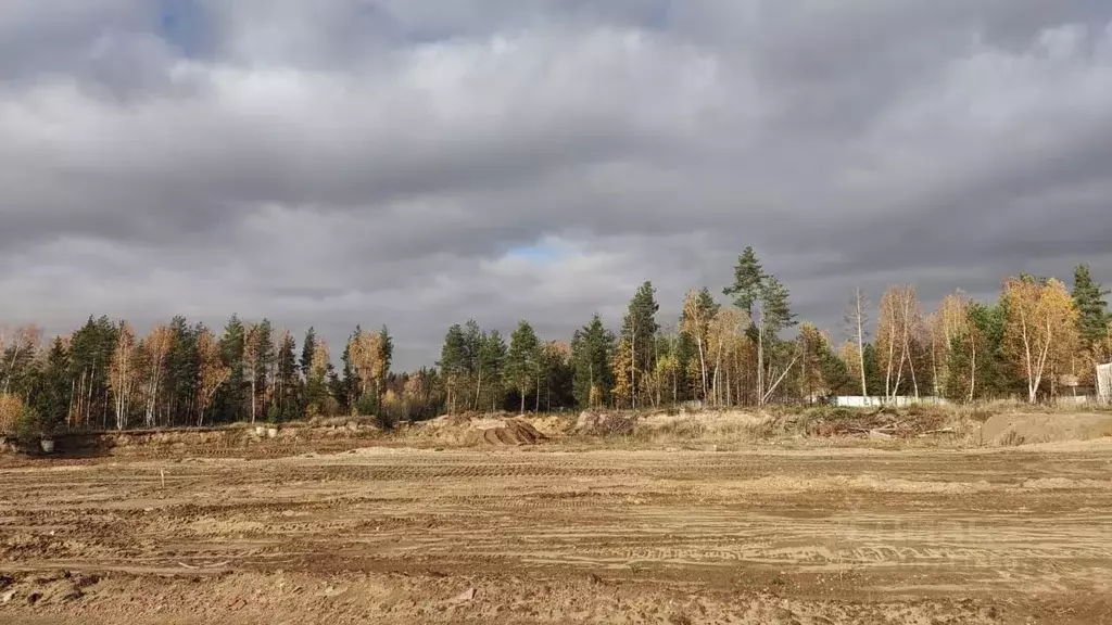 Участок в Московская область, Богородский городской округ, Восточная ... - Фото 0