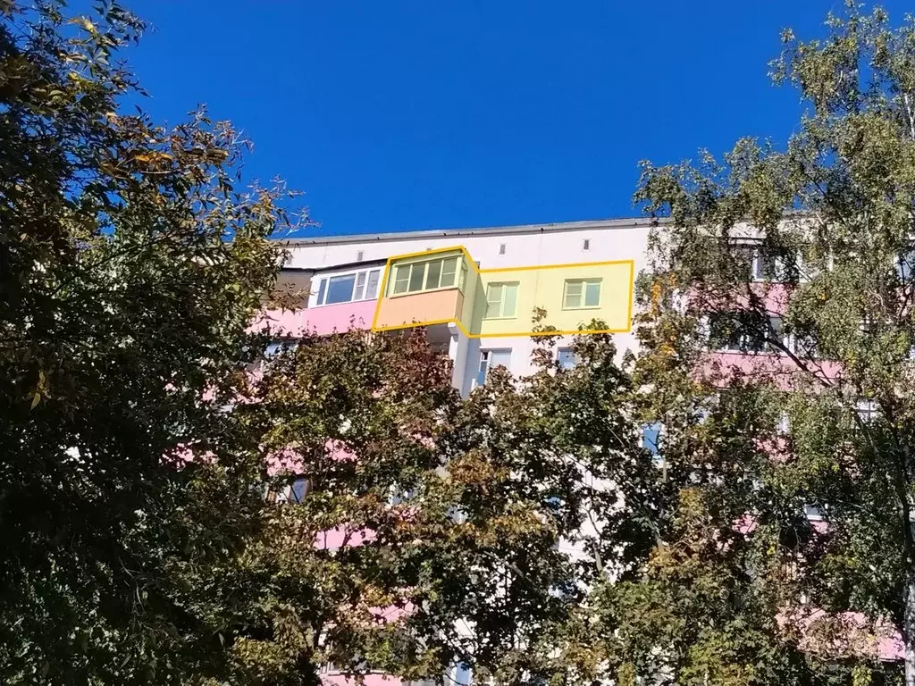 Свободной планировки кв. Москва Снайперская ул., 3 (45.7 м) - Фото 2