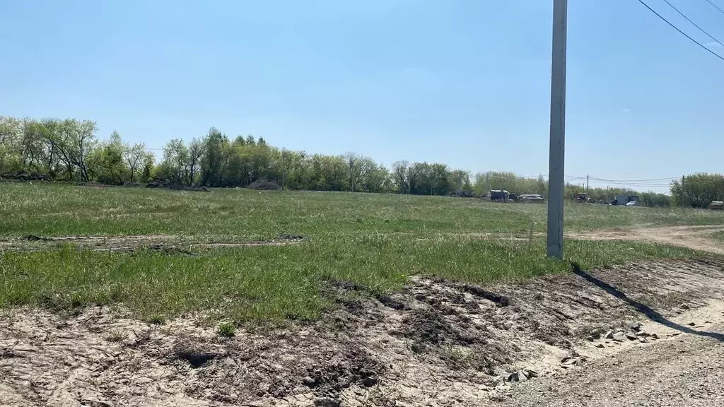 Участок в Новосибирская область, Новосибирский район, Каменский ... - Фото 1