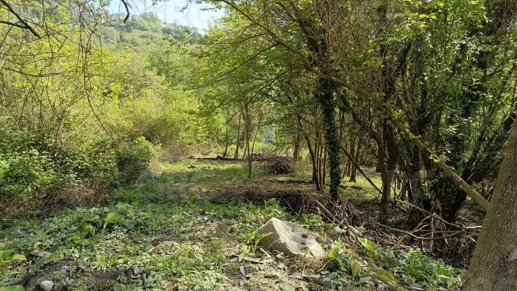 Участок в Краснодарский край, Сочи городской округ, с. Русская Мамайка ... - Фото 0