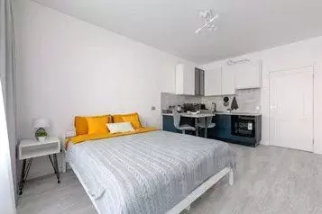 1-к кв. Санкт-Петербург ул. Струве, 10к1 (24.0 м) - Фото 0