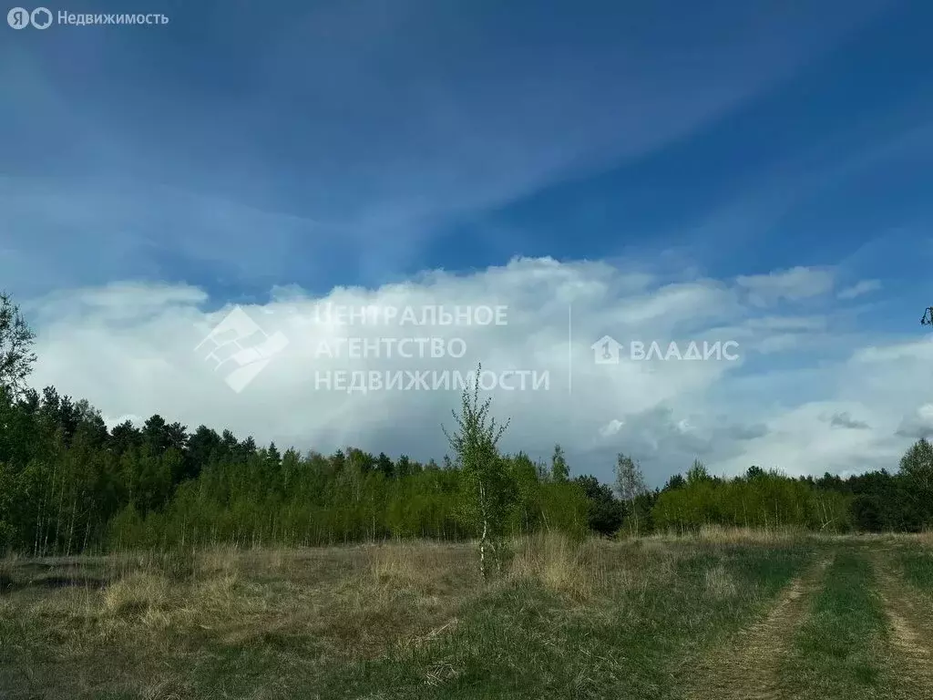 Участок в Ненашкинское сельское поселение, деревня Фролово (11.77 м) - Фото 1