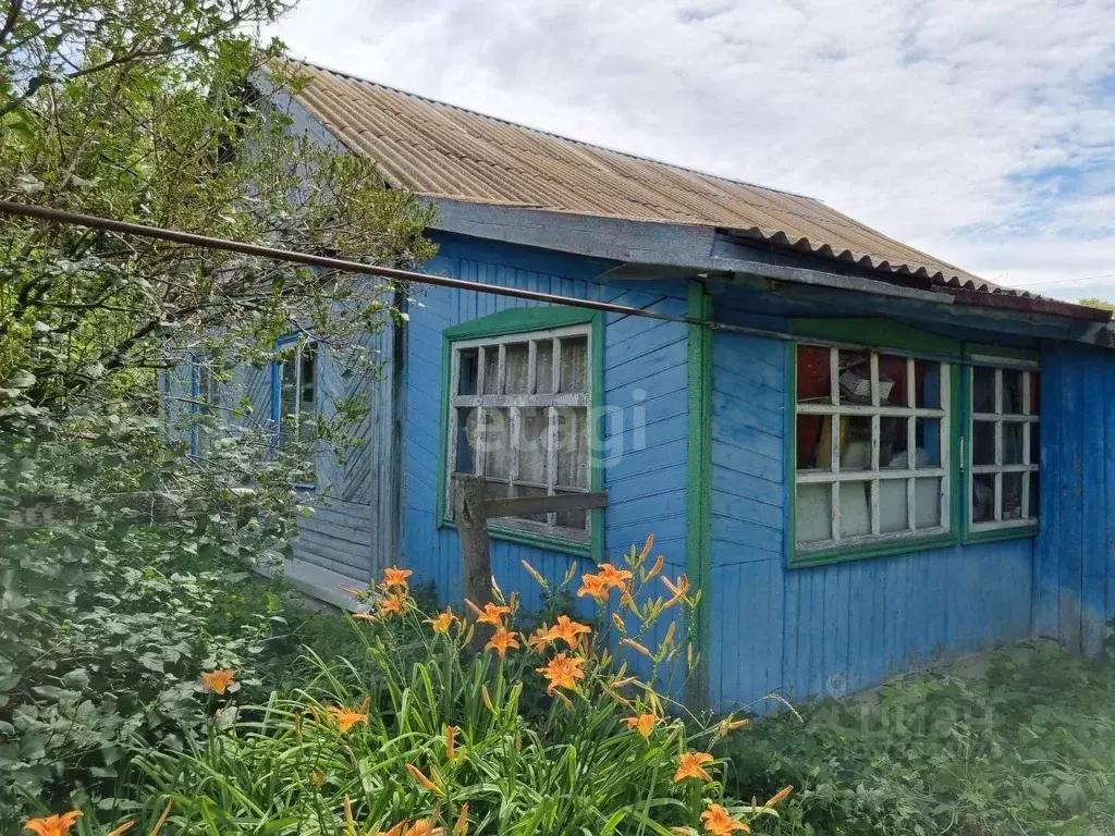 Дом в Оренбургская область, Новосергиевский район, с. Старая Белогорка ... - Фото 0