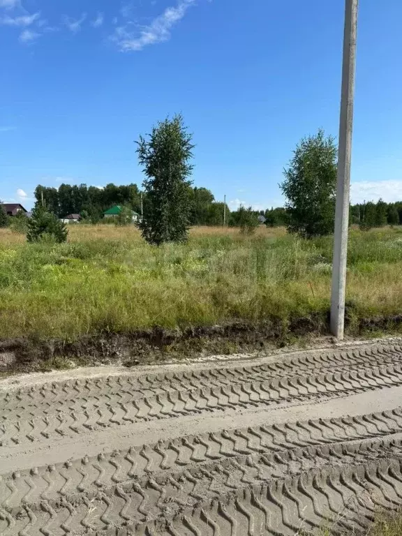 Участок в Новосибирская область, Новосибирский район, Кубовинский ... - Фото 2