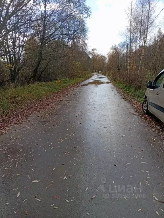 Участок в Новгородская область, Новгородский район, Савинское с/пос, ... - Фото 1