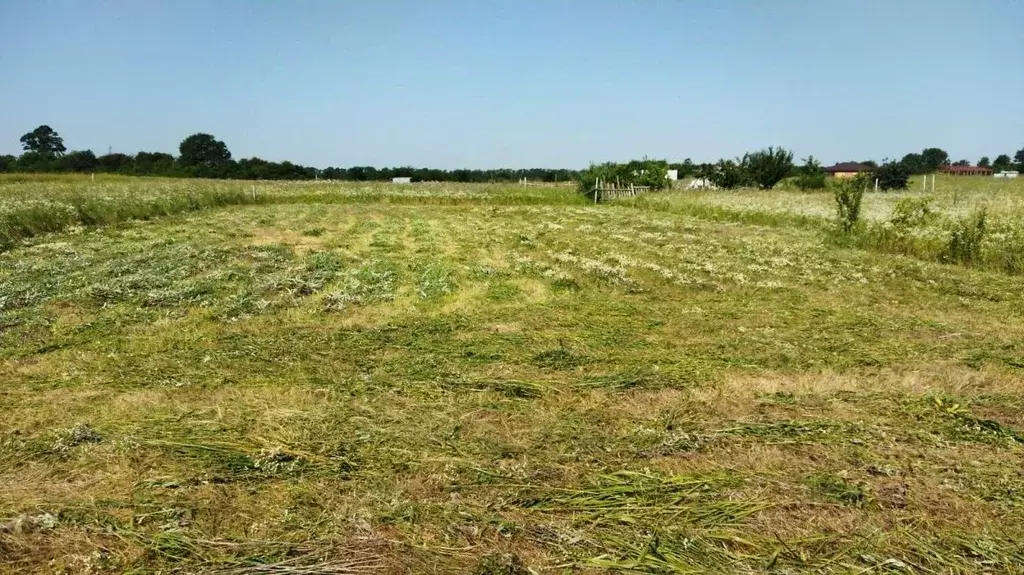 Участок в Краснодарский край, Краснодар пос. Пригородный, ул. Федора ... - Фото 1