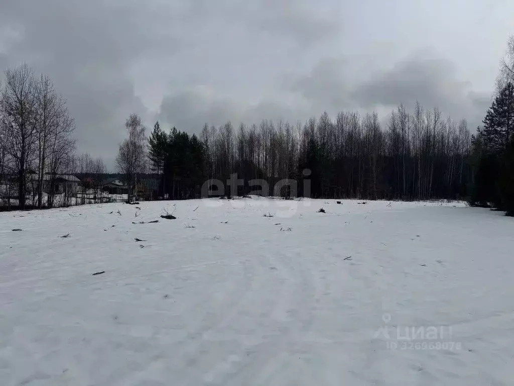Участок в Кировская область, Кирово-Чепецкий район, Пасеговское с/пос, ... - Фото 1