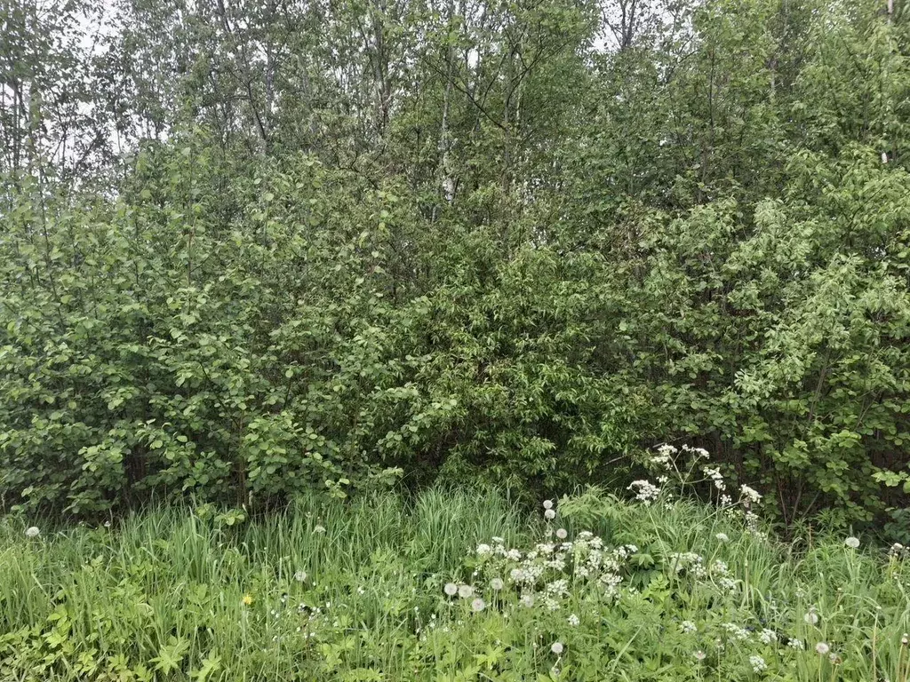 Участок, 14 сот., сельхоз (снт или днп) - Фото 2