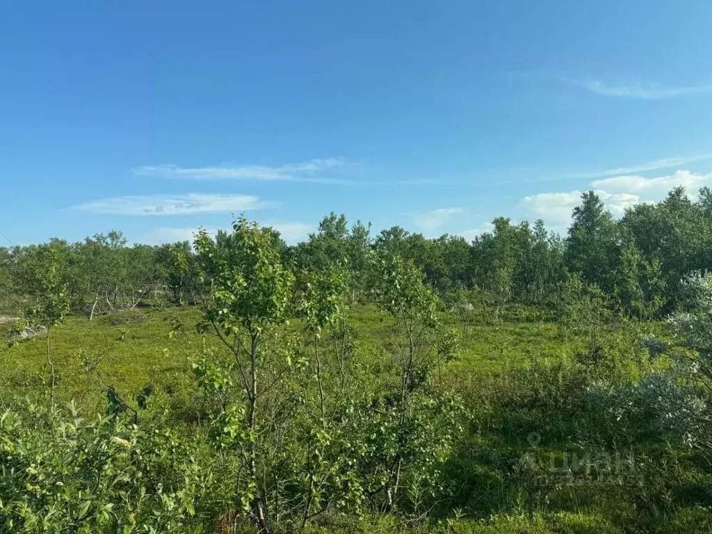 Участок в Мурманская область, Кольский муниципальный округ, Междуречье ... - Фото 2