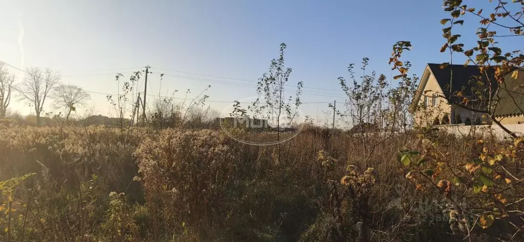 Участок в Калининградская область, Зеленоградский муниципальный округ, ... - Фото 1