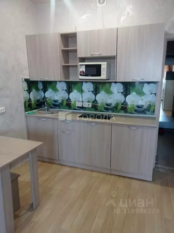 Студия Новосибирская область, Новосибирск Приморская ул., 24 (28.0 м) - Фото 1