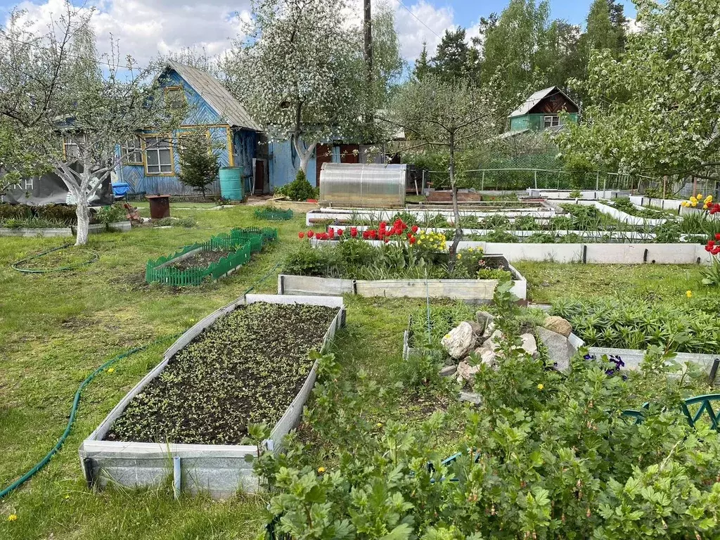Участок 4 сот. (СНТ, ДНП) - Фото 0
