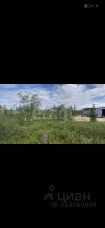 Участок в Ямало-Ненецкий АО, Салехард Радужный мкр, ул. Александра ... - Фото 2