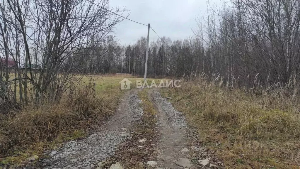 Участок в Владимирская область, Судогодский район, Головинское ... - Фото 0