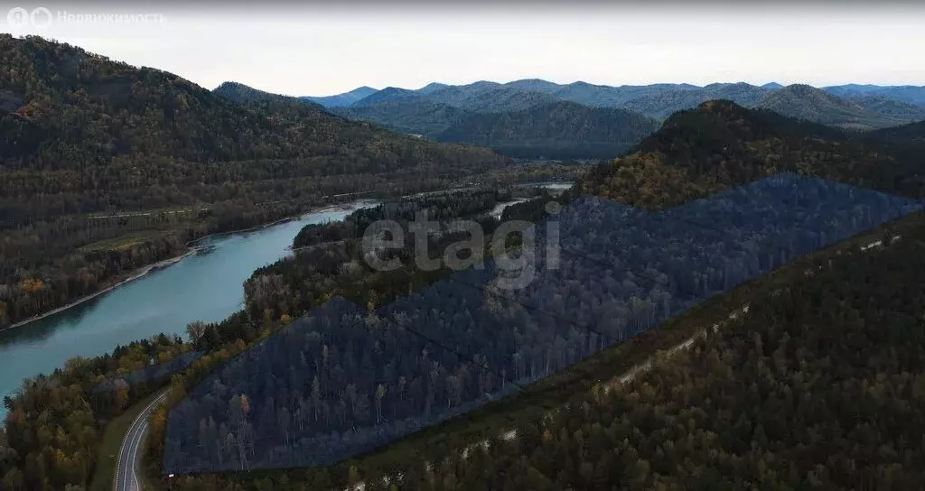 Участок в Алтайский район, Айский сельсовет, село Ая (888.28 м) - Фото 1
