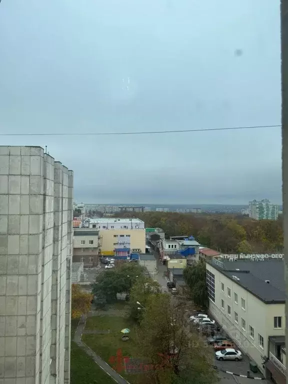 Комната Белгородская область, Белгород ул. Щорса, 26 (13.5 м) - Фото 1