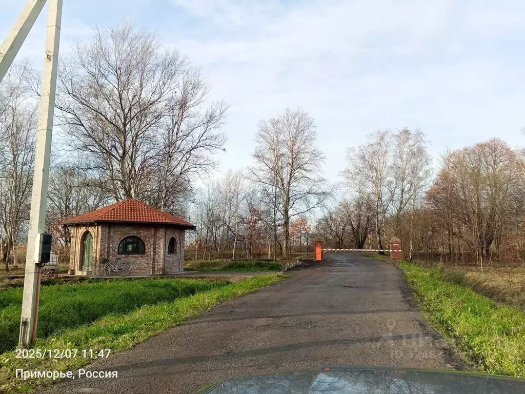 Дом в Калининградская область, Зеленоградский муниципальный округ, ... - Фото 2